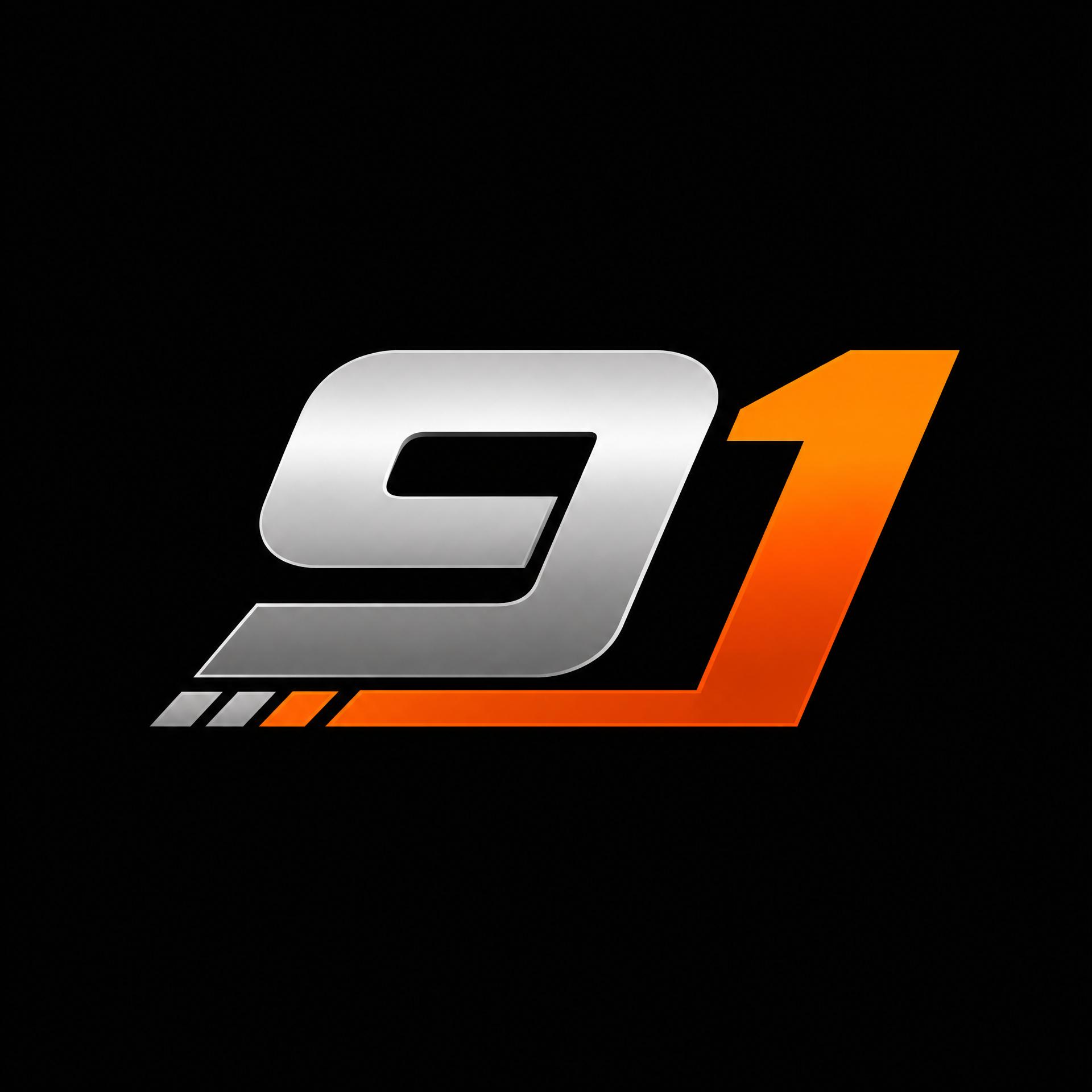 91品牌Logo